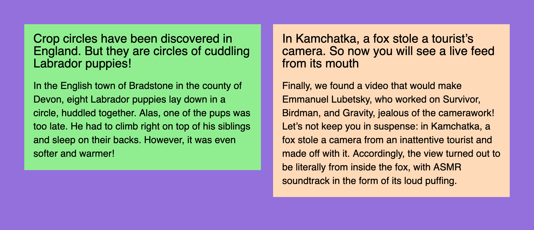 Green and peach news cards with a title and some text sitting in a row on a violet background with a gap between them.